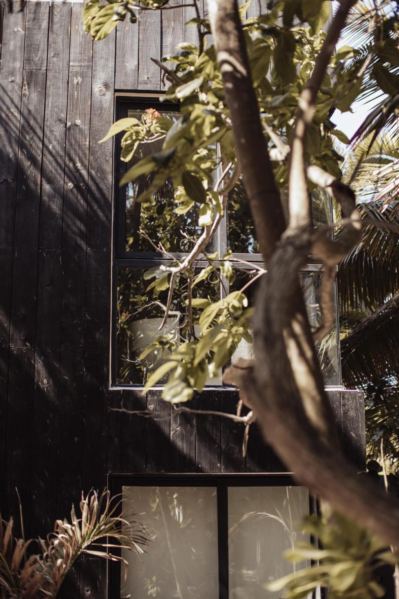 Hotel Umi Tulum Exteriér fotografie