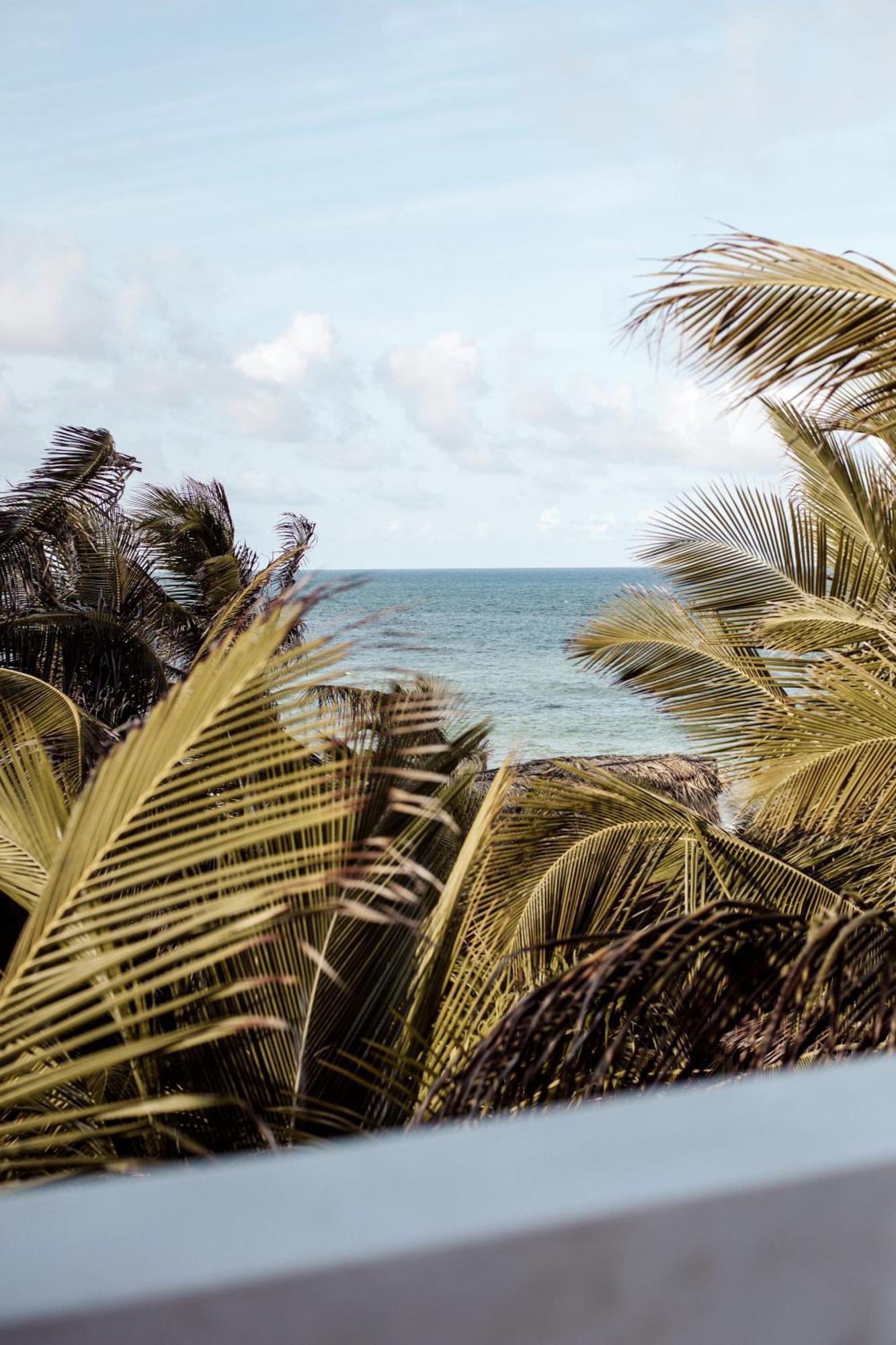Hotel Umi Tulum Exteriér fotografie
