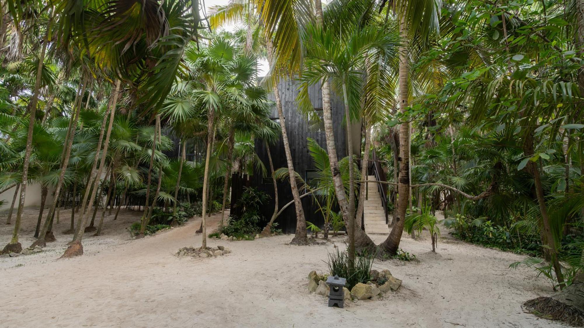 Hotel Umi Tulum Exteriér fotografie