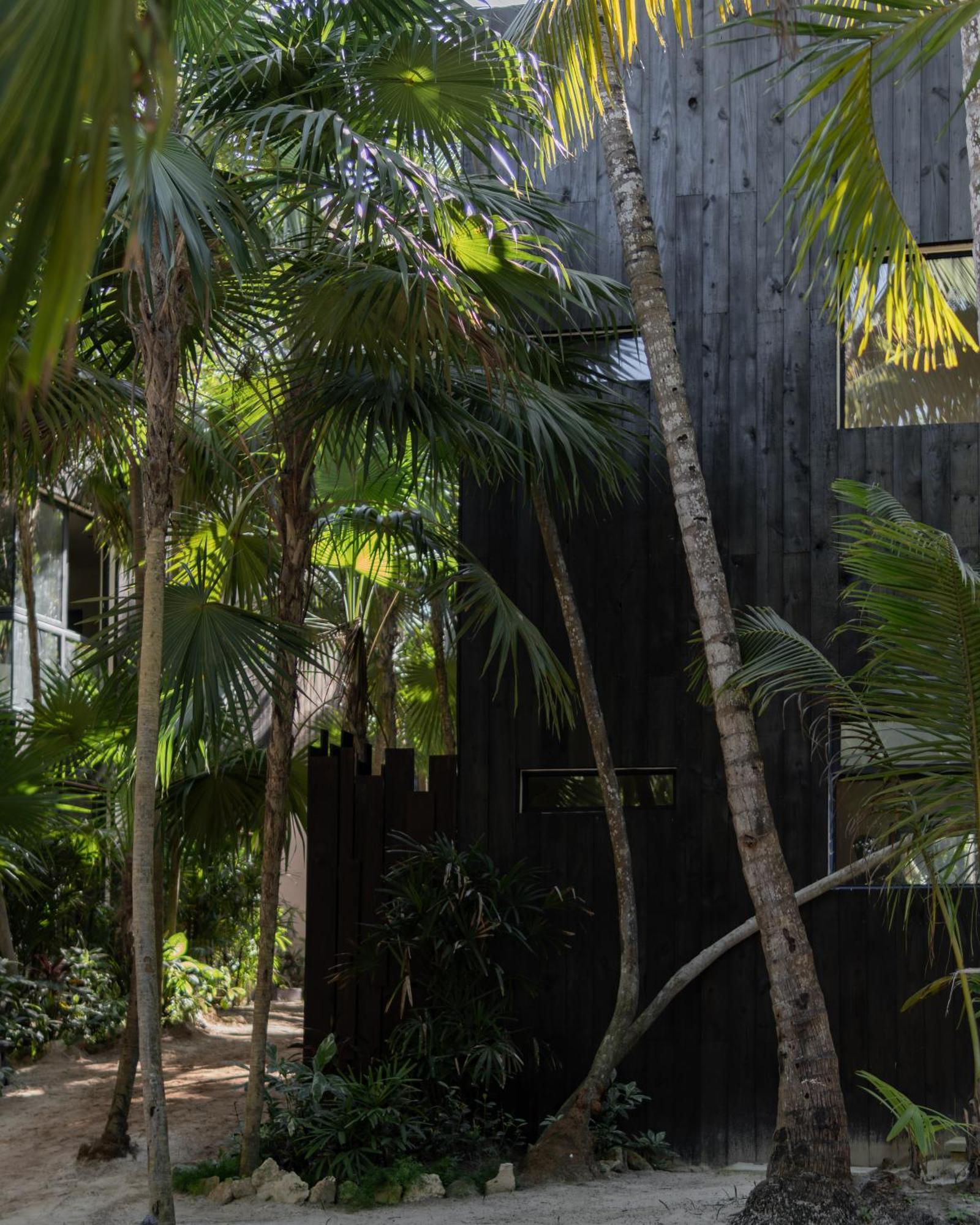 Hotel Umi Tulum Exteriér fotografie